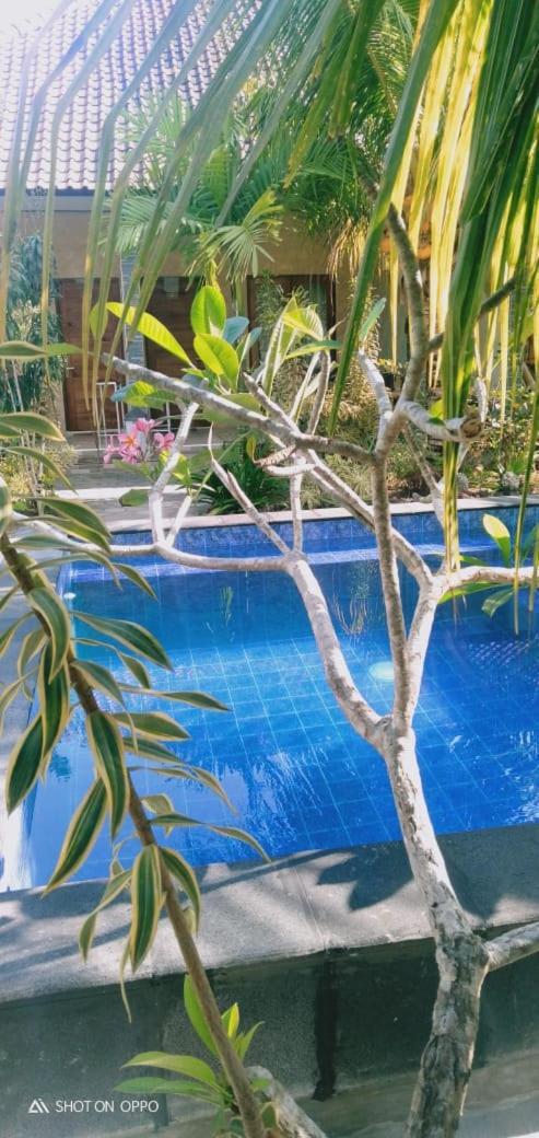 Belong Home Stay Lembongan Luaran gambar