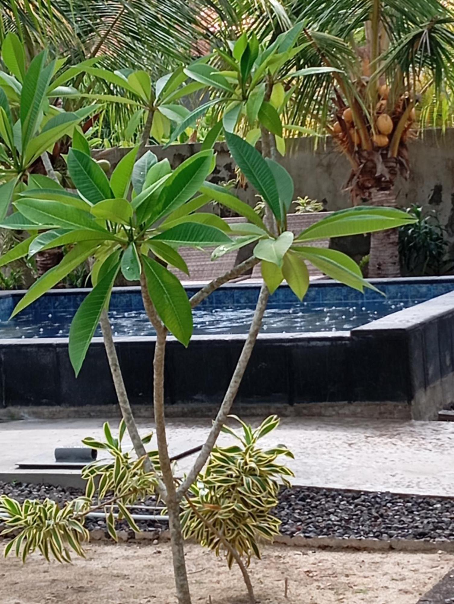 Belong Home Stay Lembongan Luaran gambar