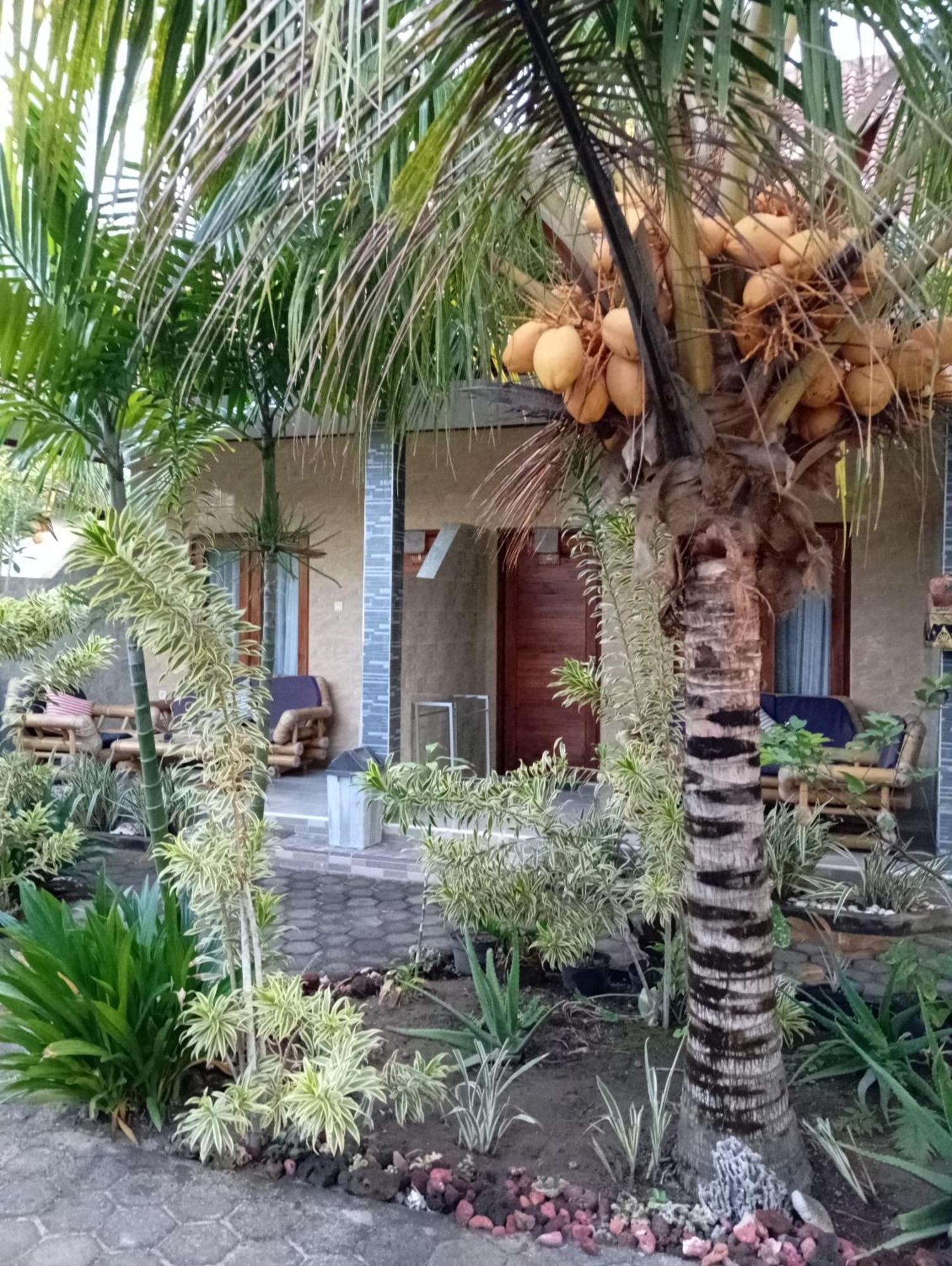 Belong Home Stay Lembongan Bilik gambar